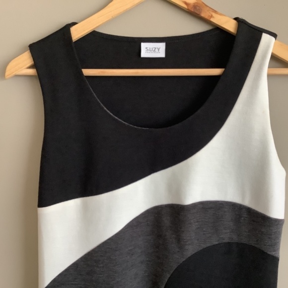 🦋3/$20 Colour Block Sleeveless Knit Dress - Picture 4 of 5